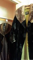 Two fur coats hanging side by side, one black and one brown, showing the contrast lighter brown fur collars.