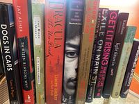 Books lined up on a shelf showing titles related to dogs, rock and roll, Dracula, baseball trivia, and more.