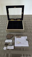 Display box open with six fossils and labels arranged in front