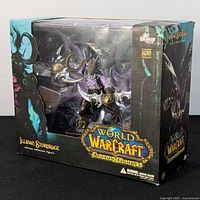 Front and side view of boxed Illidan Stormrage deluxe collector figure from World of Warcraft with noticeable box wear.