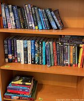Three shelves with a variety of paperback novels. Top shelf holds books by authors like James Patterson and Peter May. Middle shelf features several Louise Penny novels and others by different authors. Bottom shelf shows a smaller pile of mixed books.