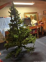 Two photos of an approximately 6-foot tall artificial Christmas tree, made of two separate parts, standing on the floor in a basement or storage environment. No tree stand included. Branches appear sparse and spaces between clusters are visible.