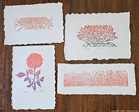 Overview of all four deckle-edged prints arranged on wooden floor.