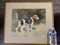 Framed watercolor painting showing a standing beagle in profile with visible matting and gold frame, water bottle included for scale.