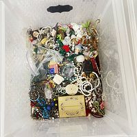 Top-down image of a clear plastic container holding a mixed lot of vintage costume jewelry pieces including necklaces, brooches, pins, earrings, beads and pendants in various colors and materials.