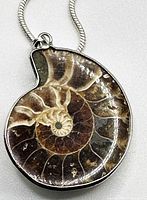 Close-up of the ammonite fossil pendant in sterling silver bezel setting attached to the chain.