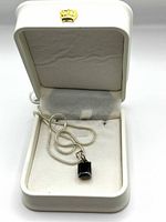 Full view of pendant and chain inside white leatherette box