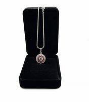 The full pendant and chain displayed vertically in a black velvet jewelry box.