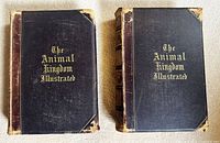 Front covers of two volumes titled The Animal Kingdom Illustrated, black covers with leather corners and spine, gold gilt title on front.