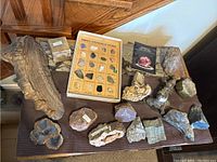 Overview photo showing a large fossil, mineral specimen box, various rough mineral and fossil samples arranged on a table surface.