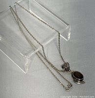 Full view of the necklace and pendant showing chain length and pendant size/shape.