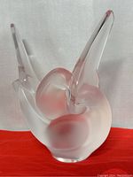 Front view on red cloth background showing frosted body and clear wing tips