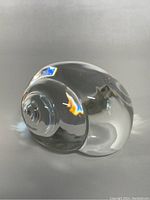 Side view of clear hand blown art glass conch sea shell showing spiral design and glossy surface