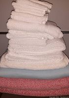 Photo showing stacked white towels on top of one light blue fleece blanket and two pink teddy blankets at the bottom.