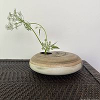 Side view of the round flower bowl with earthy finish and a single floral stem extended from the center hole.