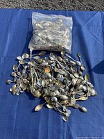 Photo shows a collection of approximately 60 assorted collectible demitasse spoons laid out on a blue fabric surface, with some spoons contained in a plastic bag. The spoons are mostly metal with decorative handles featuring various emblems, enamel, and unique designs.
