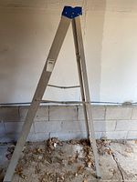 Full view of the aluminum step ladder standing opened, showing its six-foot height and foldable design.