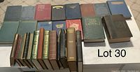 Full view of 29 old books arranged in two rows showing variety of bindings and sizes.