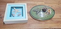 Two small wall hangings are shown placed on a wooden floor. Left is a square white wooden frame with a blue background and three starfish/shells inside. Right is an oval frame with a green background and starfish, shells, and dried flowers covered with glass.