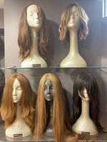Five wigs displayed on mannequin heads on two glass shelves