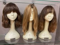 Frontal photo showing all three wigs on mannequin heads on a glass shelf.