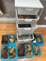 View of various synthetic wigs in clear blue plastic storage containers arranged on the floor next to a white 4-drawer plastic storage cabinet with some wigs inside its drawers.
