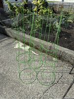Four green metal tomato trellises standing upright on concrete outdoors, showing full height and round base in good condition.