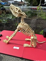 Side view of sitting dog skeleton animatronic on red table outdoors showing detailed bones and open jaw.