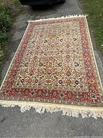 Full view of rug laid flat showing overall pattern and fringe ends