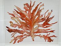 Close-up of watercolor print showing reddish pink sea form details.