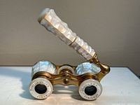 Front angle view with handle extended over pair, showing overall design and focusing wheel