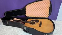 Washburn dreadnought acoustic guitar lying inside black hard protective case with pink foam padding.