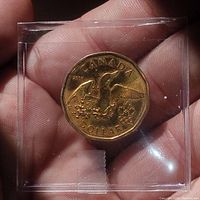 Photo showing the obverse side of the 2008 Canada Lucky Loonie coin enclosed in a plastic flip, held in hand for scale.