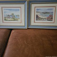 Photo of two framed Bermuda landscape paintings by Carol Holding placed side by side on a brown leather surface. Both paintings feature coastal scenes with blue sky, ocean, and flora. Frames are blue and beige.