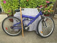Full side view of blue Raleigh Cyclone FS mountain bike showing frame, tires, and branding.