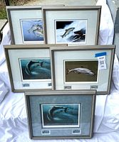 Five framed prints of Chinook salmon conservation artwork, each accompanied by two matching stamps, arranged on a white sheet outdoors.