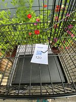 Top view focusing on the removable black plastic bottom tray inside the metal wire crate.