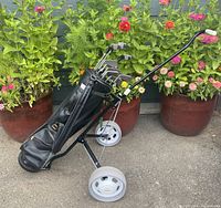 Golf bag with golf clubs positioned on a two-wheeled golf cart.