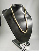 Vintage genuine pearl necklace displayed on black bust stand showing full length and graduated pearls.