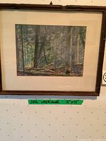 Full view of framed watercolor landscape painting showing forest scene and rustic wooden frame with matting. Green label below indicates original watercolor 18x15 inches.