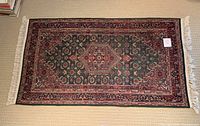 Full view of the rectangular hand-knotted rug laid on carpet, showing the full pattern, colors, and fringed edges.