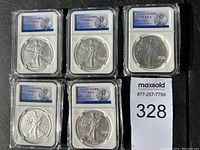 Six silver eagles in white certification slabs showing obverse Walking Liberty designs.