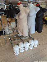 Full view of three torsos and five foam heads displayed on floor and rack, showing colors and size.