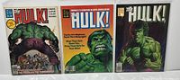 Front view of all three Marvel The Hulk magazines in plastic bags showing issues #13, #17, and #24 with distinct Hulk cover art.