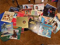 Wide view showing collection of vintage vinyl LP records laid out on carpet, various artists and album covers visible.