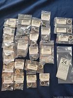 Overview of 24 sterling silver plated rings individually bagged and labeled, arranged on a dark fabric background.