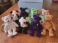 Lot of 8 assorted Beanie Babies including purple Princess, panda bears, and several others on wooden table with white box in background
