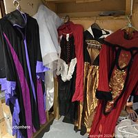 Photo showing five adult Halloween costumes hanging in a closet space: a black and purple hooded cloak, a white sheer costume, a red pirate/renaissance dress, a gold and black dress with fan design, and a red medieval/jester costume.