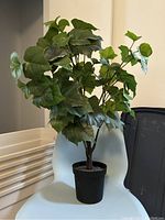 Full view of artificial plant 29 inches tall in black pot, sitting on a white chair.