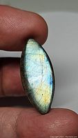Natural marquis-shaped labradorite gemstone held between fingers, showing golden flash on polished surface.